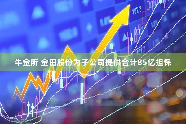 牛金所 金田股份为子公司提供合计85亿担保