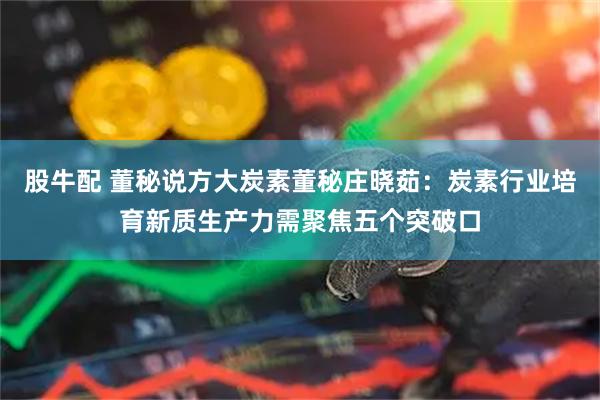 股牛配 董秘说方大炭素董秘庄晓茹：炭素行业培育新质生产力需聚焦五个突破口
