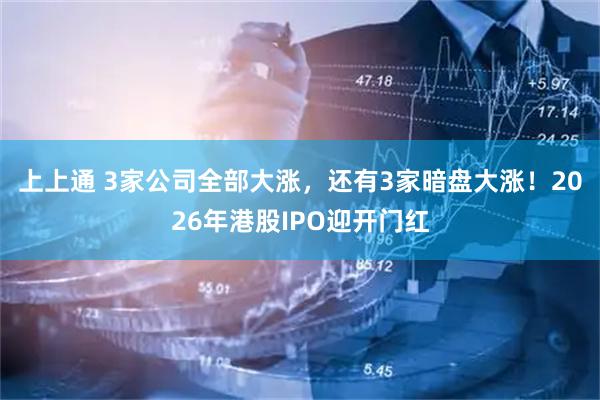 上上通 3家公司全部大涨，还有3家暗盘大涨！2026年港股IPO迎开门红