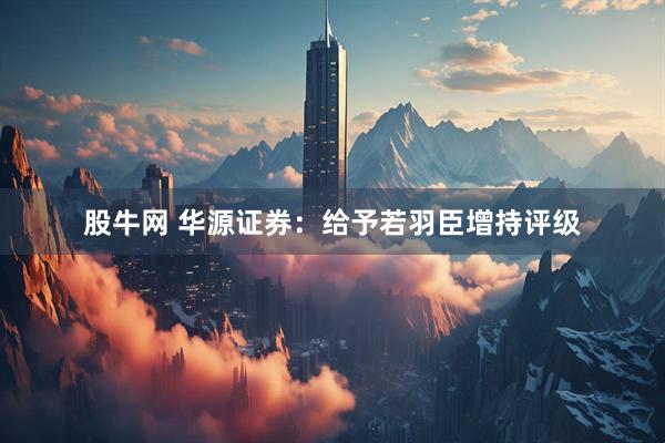 股牛网 华源证券：给予若羽臣增持评级
